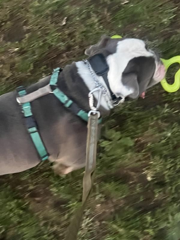 He even wanted to carry it home after.