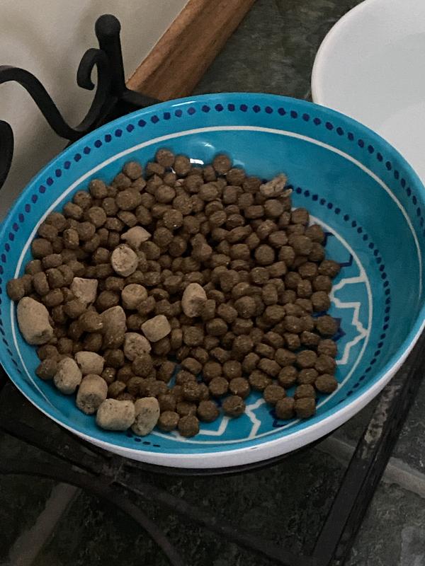 What the kibble looks like