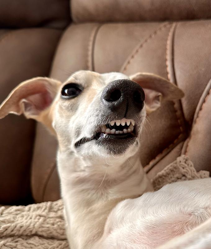 All smiles after her treat!