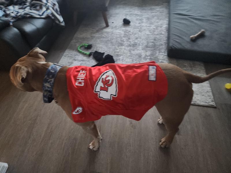 NFL San Francisco 49ers Dog Jersey, Size: X-Small. Best Football Jersey  Costume for Dogs & Cats. Licensed Jersey Shirt.