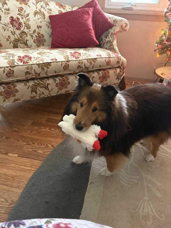 It’s mine and you cannot have it!