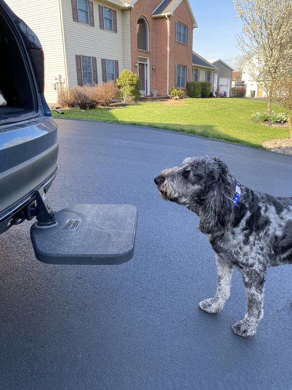 Heininger pet outlet step