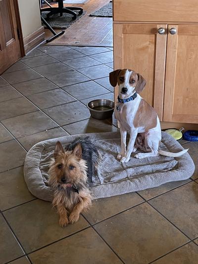 Waiting for treats!