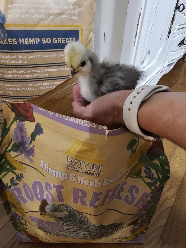 Jolly checking it out.