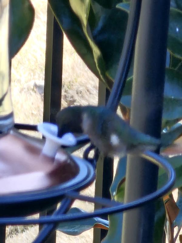 First visitor within 24 hours