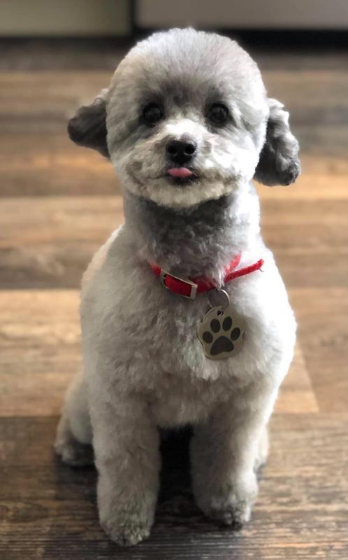 Licking her chops after eating! Yummm!