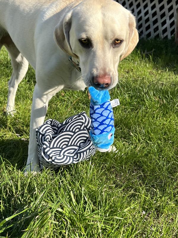 The fish quickly became her favorite!