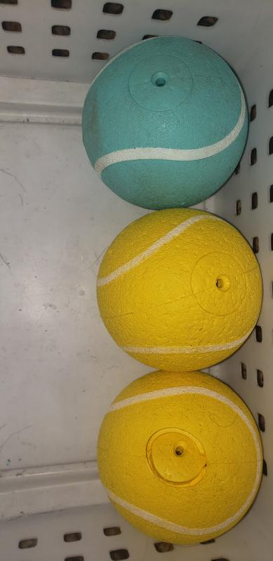 These circular disks pop open when dogs chew a lot.