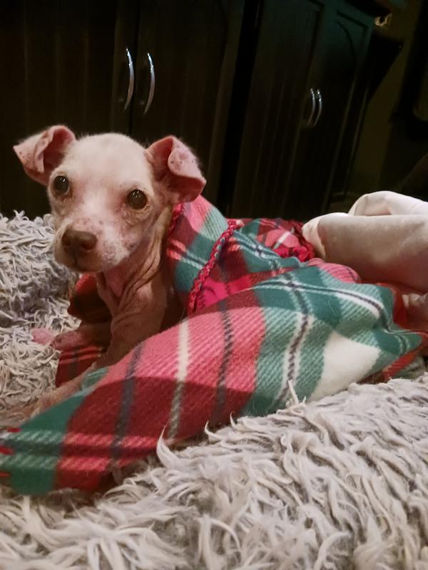 My sweet little girl.