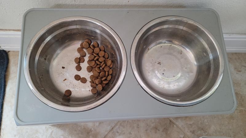 The After: Jiminy's totally gone, the old food reluctantly nibbled.