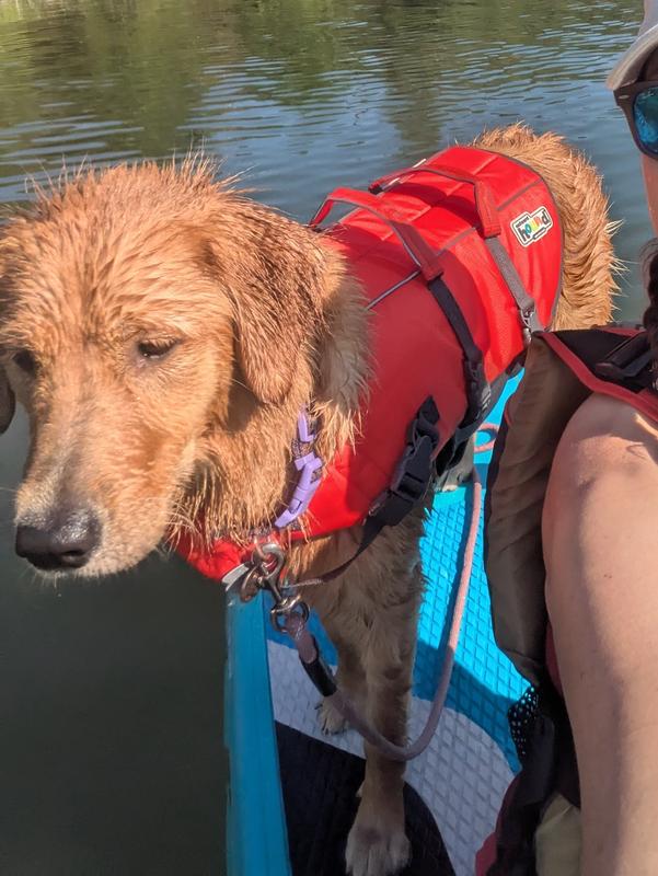 First time out on the water, getting her "sea" legs