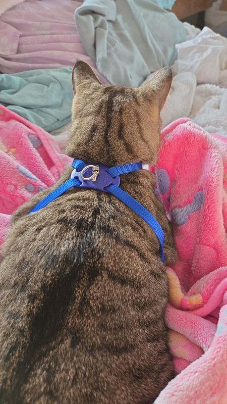 I love my new outfit!