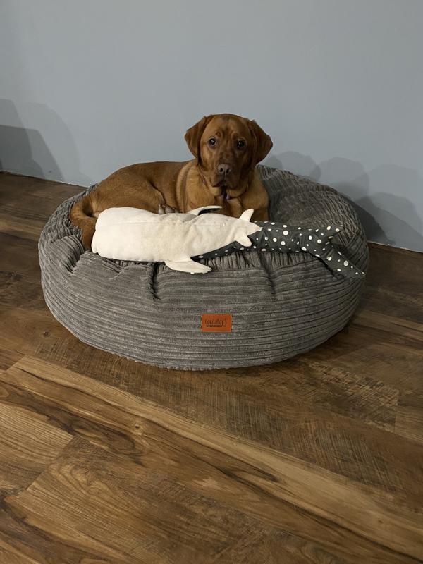 I find her napping with this toy a lot