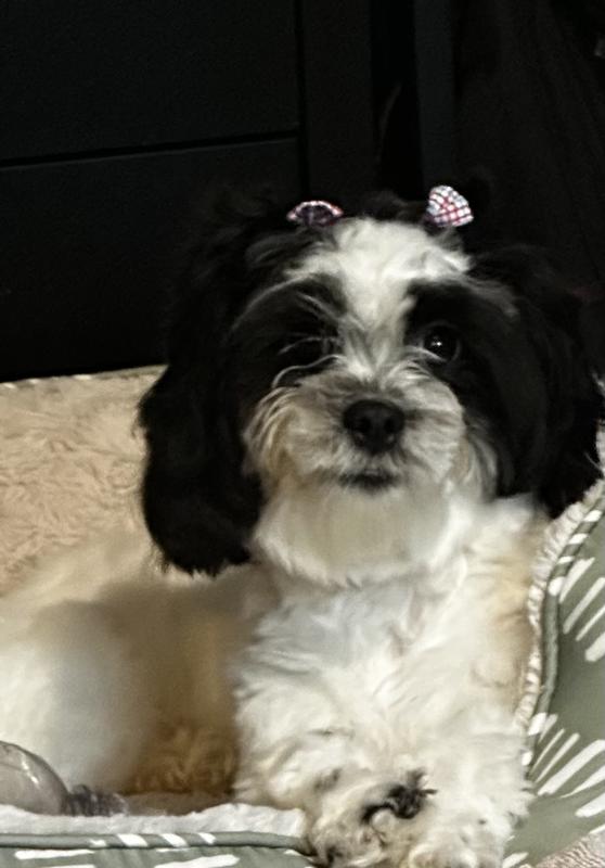 If she could talk, I know she would say thanks mom.