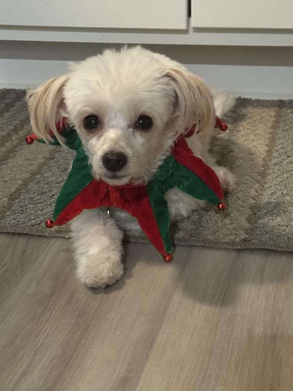 All ready for Santa..