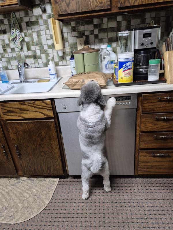 Hank inspecting the goods