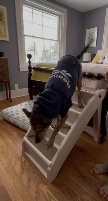 My dog uses these stairs with ease!
