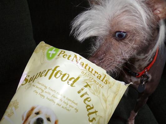 checking them out before we start training.  she approved!