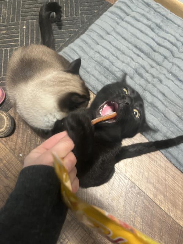 Simba goes crazy for these treats