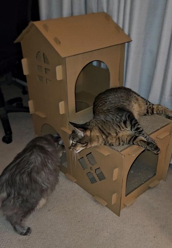 Juliet loves it!