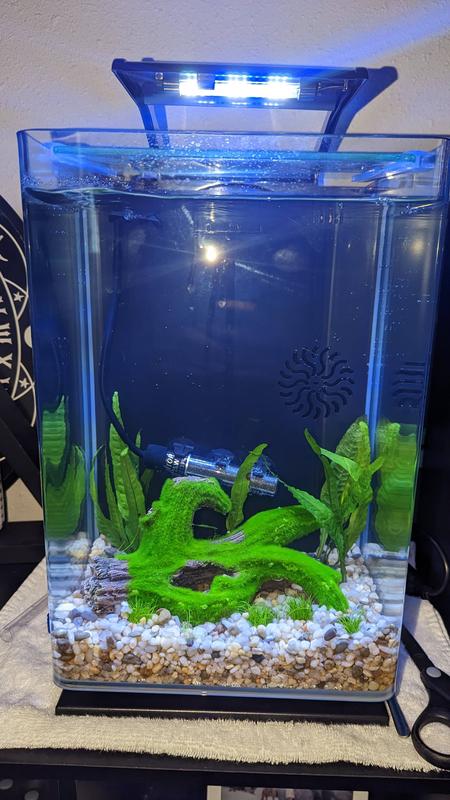 Marineland 5 gallon portrait sale