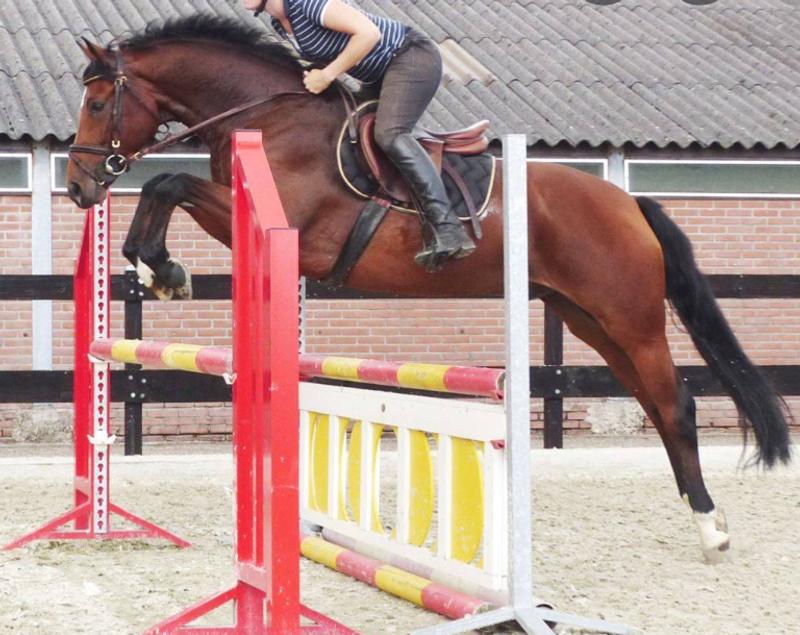 Me and my horse, Willow (4 ys old)