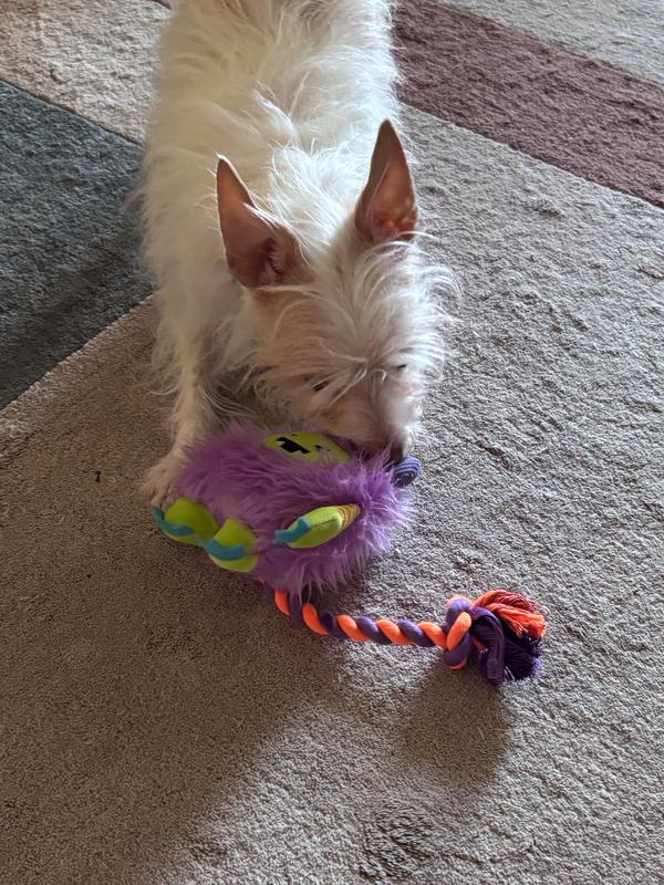 Ready for the chase!