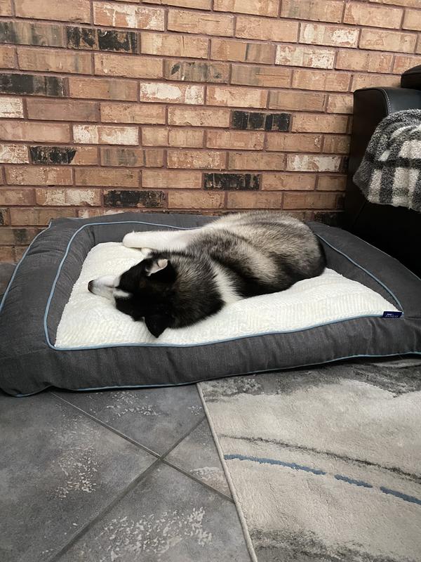 Kodiak enjoying his new bed