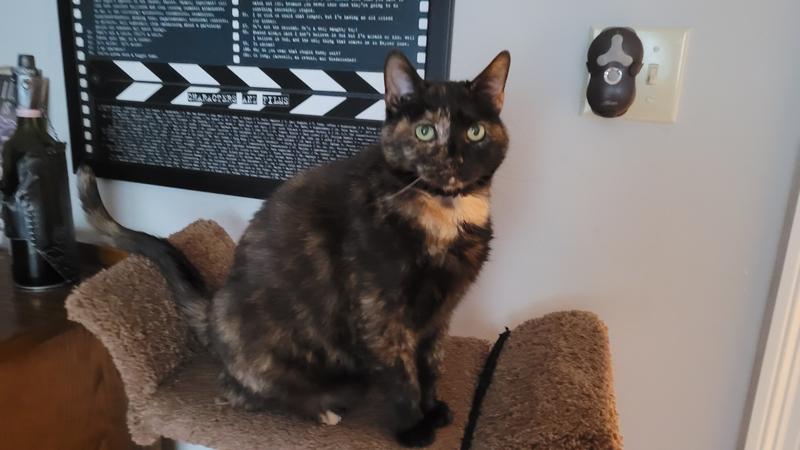 Pete the Cat (she/her)