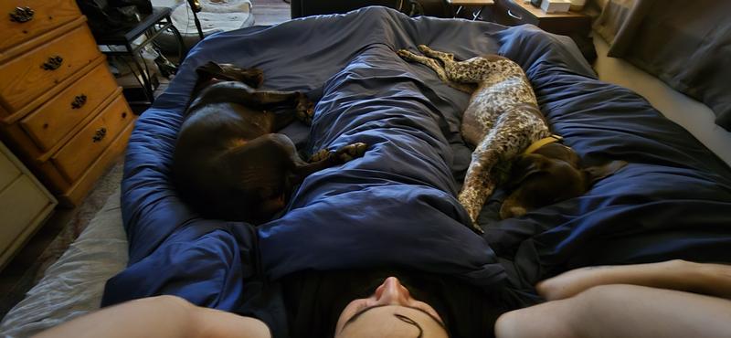 Before snoozer bed, no space, no sleep.