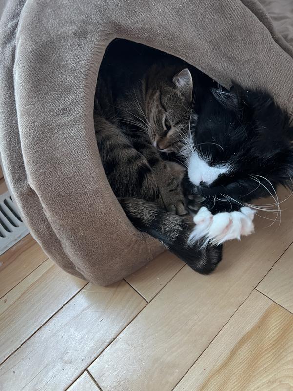 Cozy together