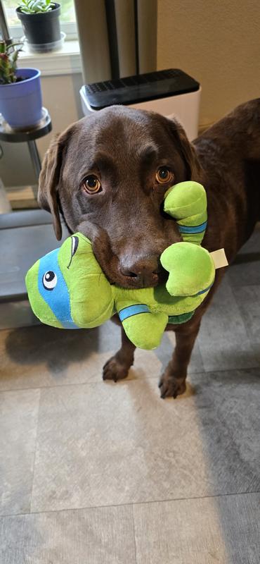 He has not put this down since it arrived