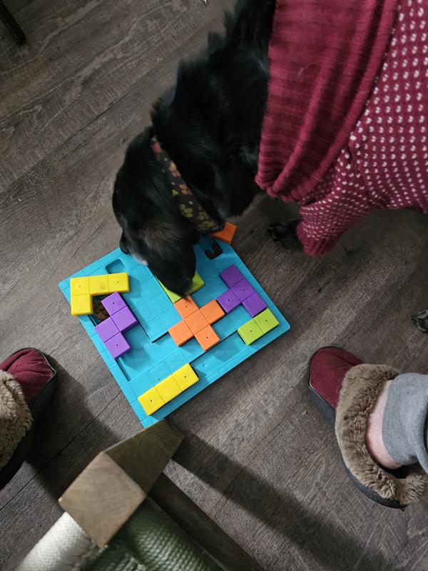 Dexter working the shapes.