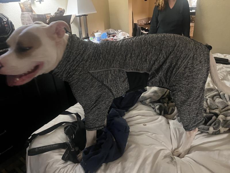 A literal perfect Fit :)