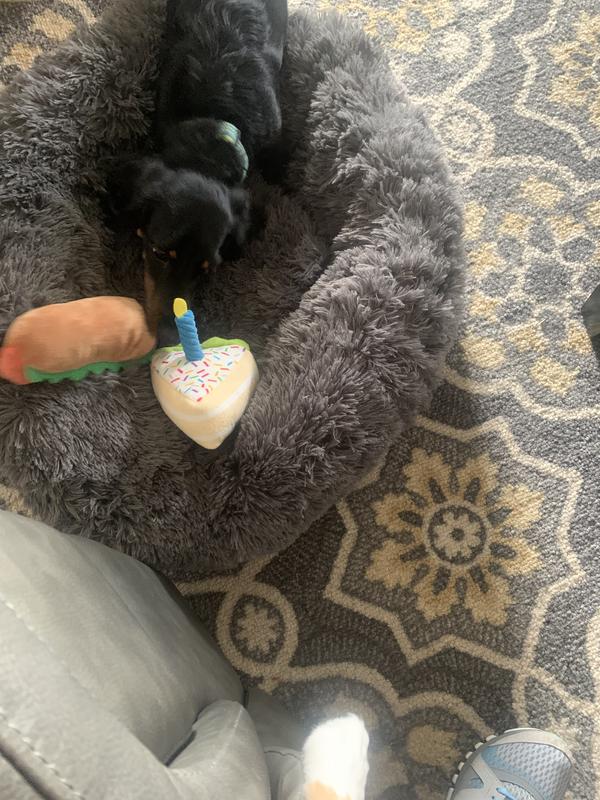 Riley turned 4!