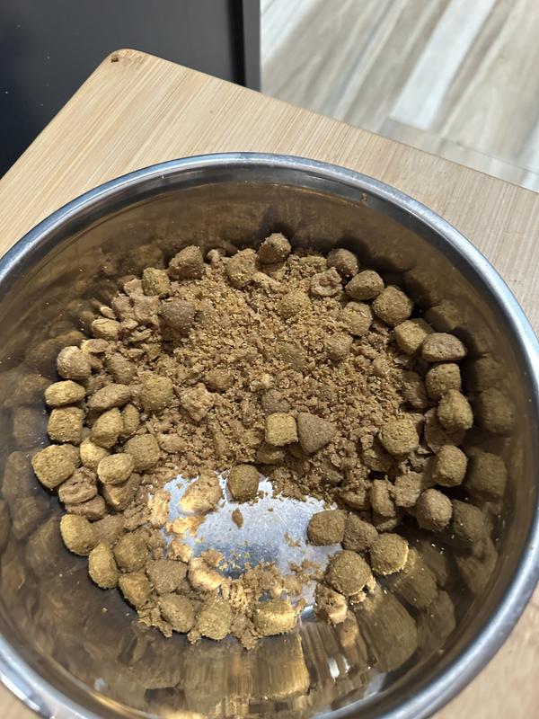 crumby food= sad dog