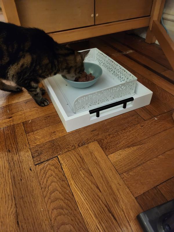 She is busy eating her Solid Gold, don't bother her