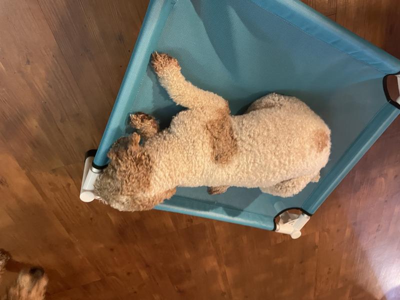 Sleepy time