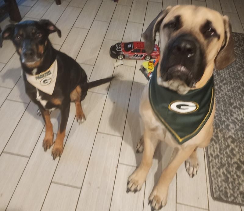 Moss and Athena ready for every Packer game!