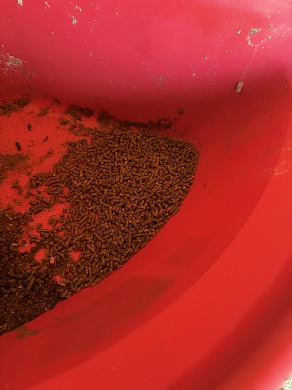 Poured it in to my picky eater’s tub, next to some existing feed.