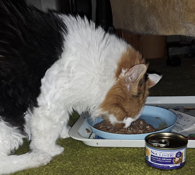 17 yr old Millie loves it!