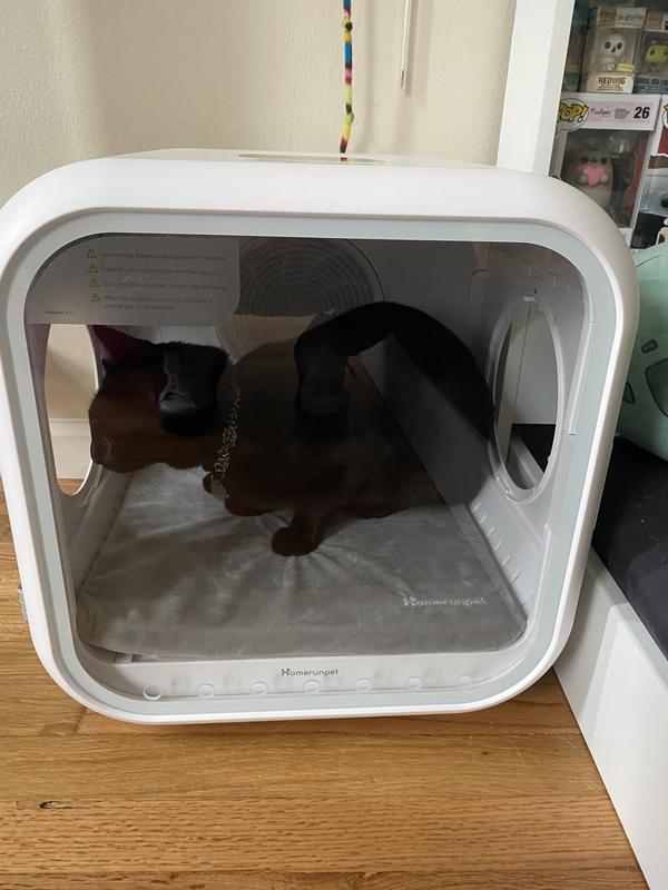 Homerunpet Drybo Plus Automatic Pet Dryer Box | eBay