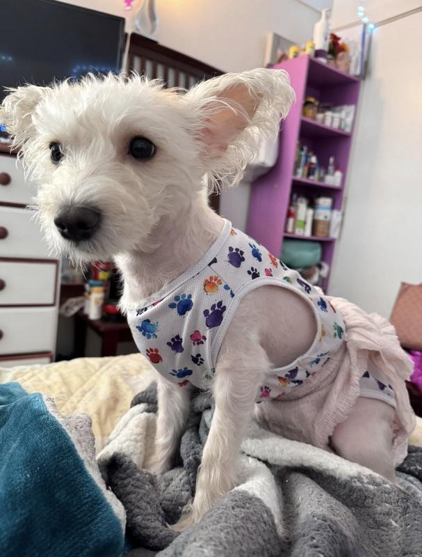 During hot spots. All fur trimmed