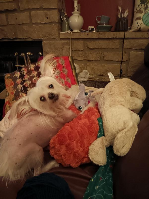 Just before getting meds, all happy and excited.