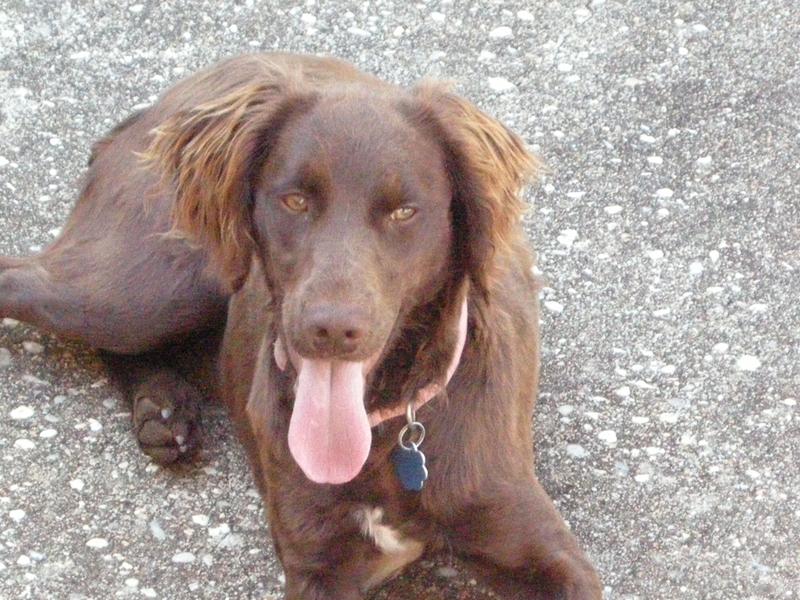 Wonderful investment.