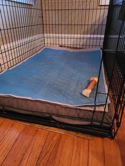 Frisco Cooling Orthopedic Dog Crate Mat, 48-in