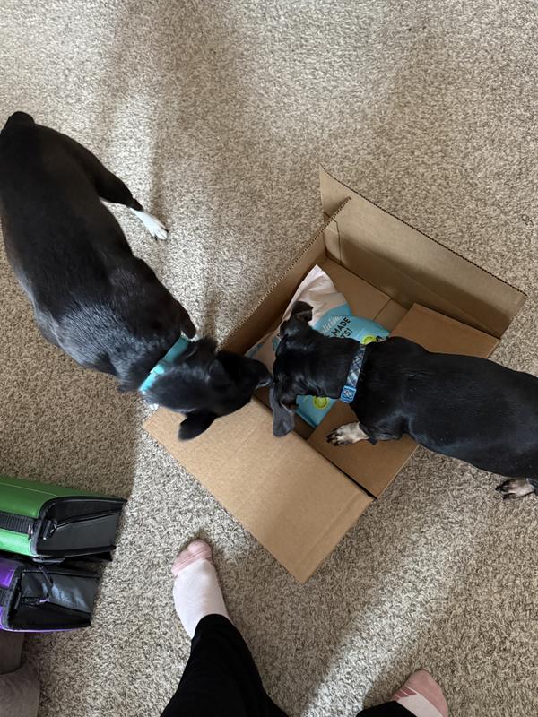 Ripping the box to shreds