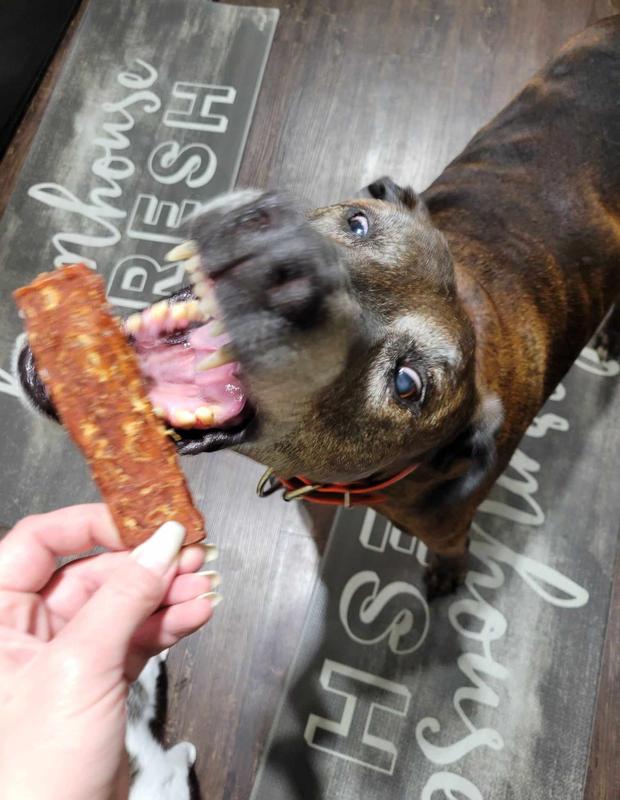 You can tell by the blurry dog, how fast he moves to get his jerky!