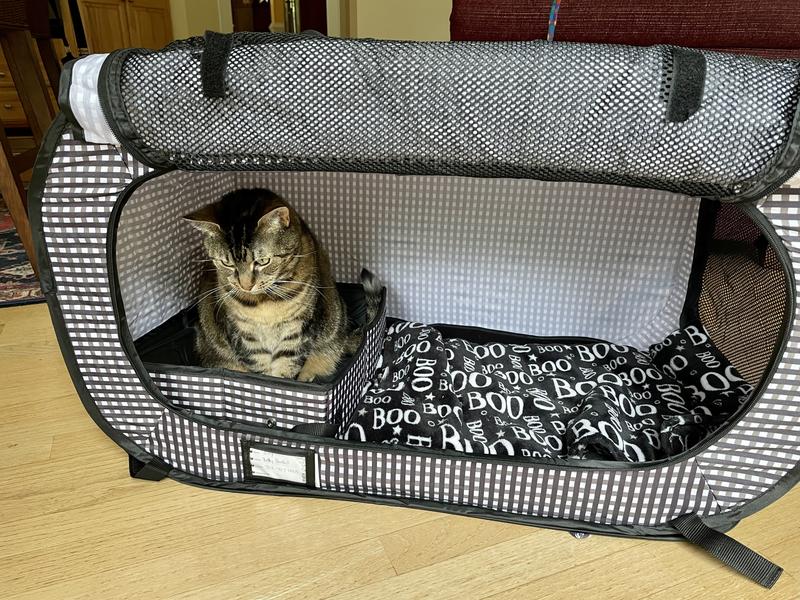 Cat crate with outlet litter box