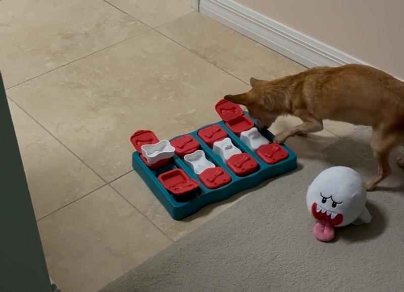 Great for senior dogs